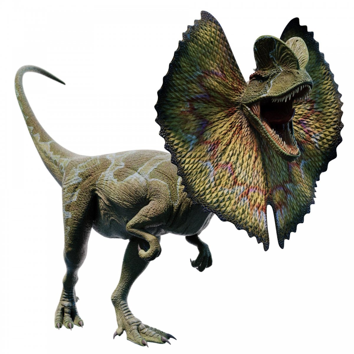 Дилофозавр арт