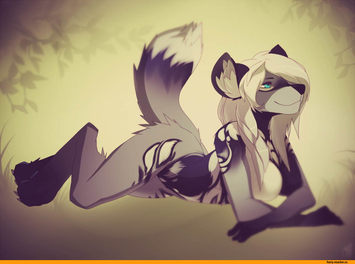 Фурии кошки