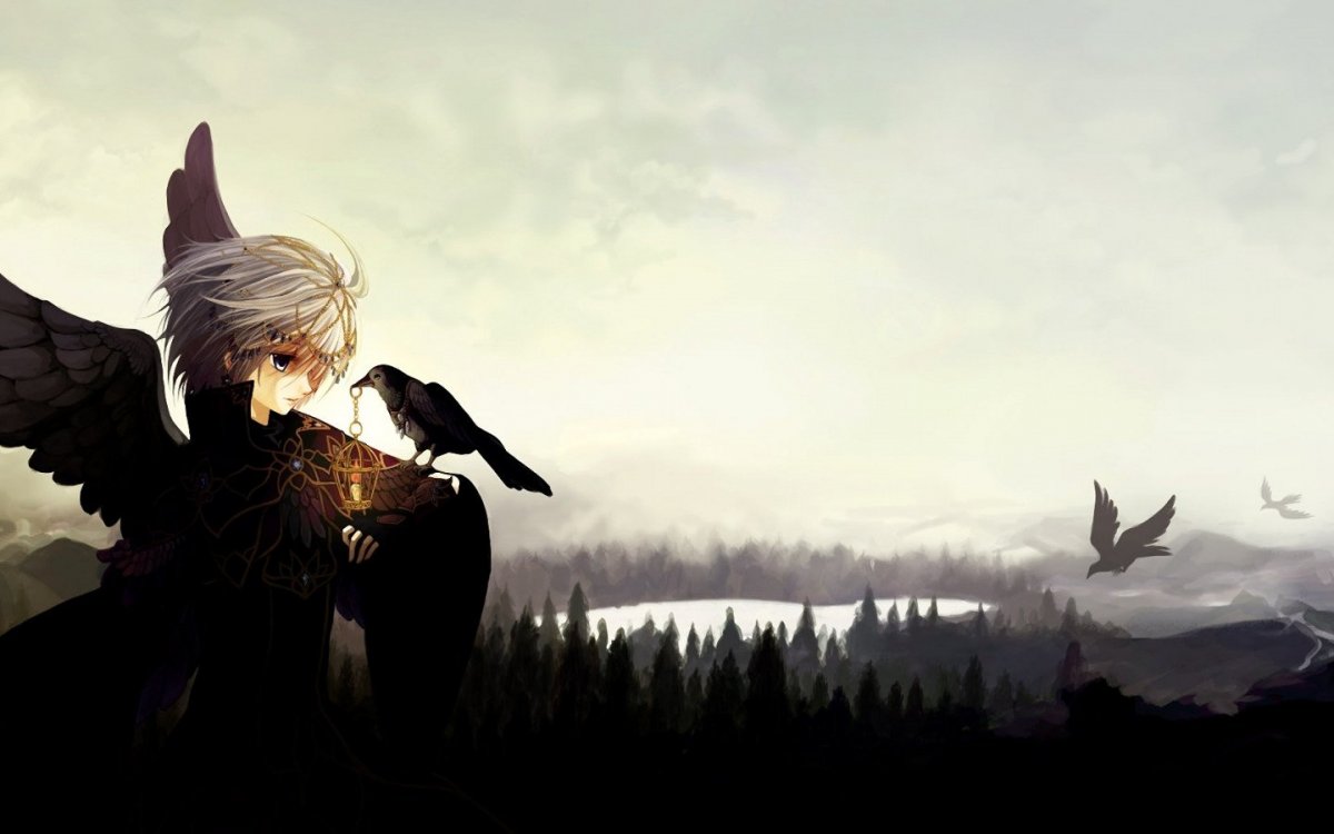 Аниме парень с вороном