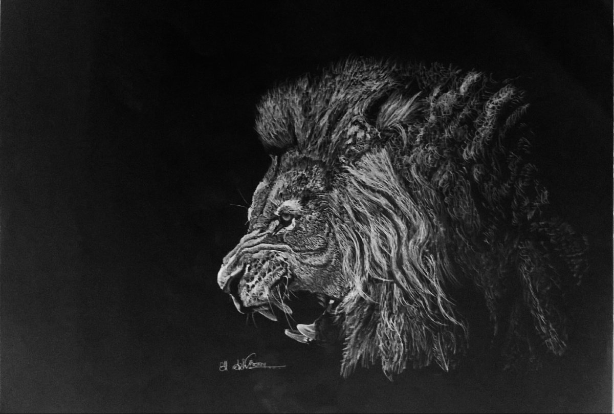 Обои на рабочий стол Лев