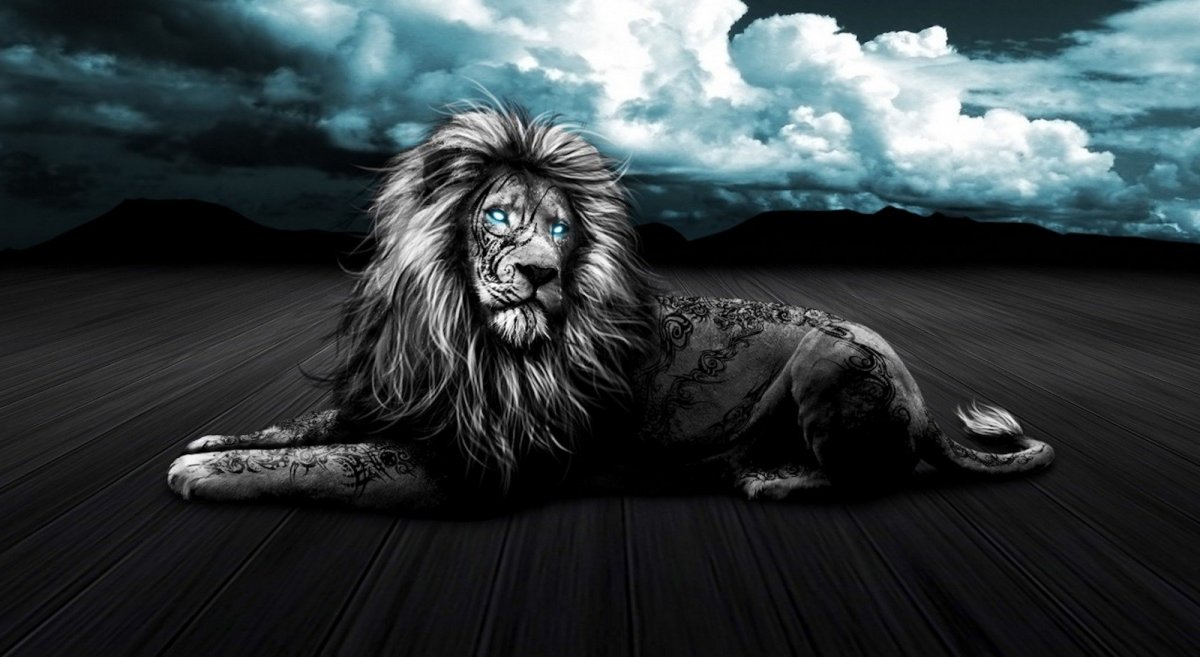 Лев на темном фоне