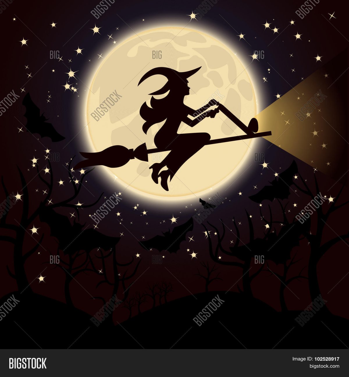 Ведьма на метле с котом