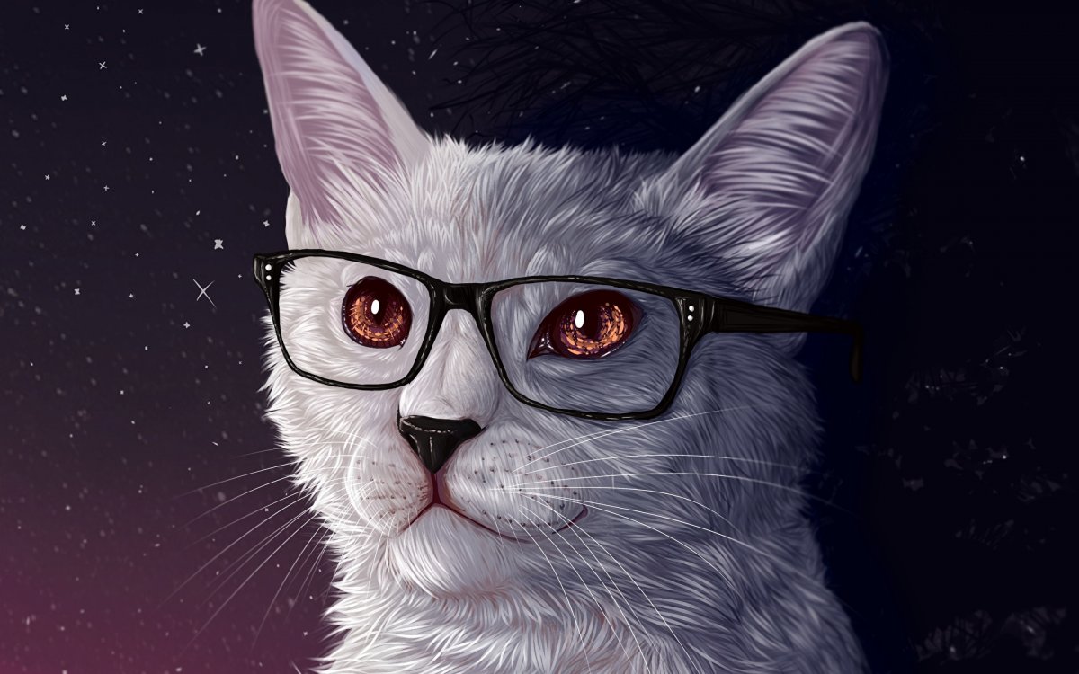 Кошка в очках