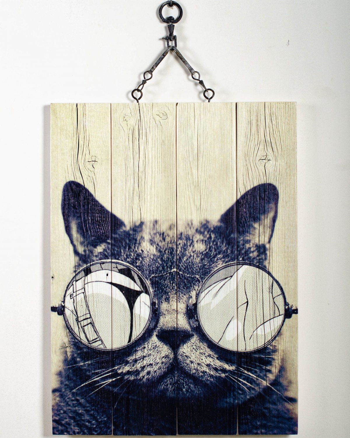 Кот в розовых очках