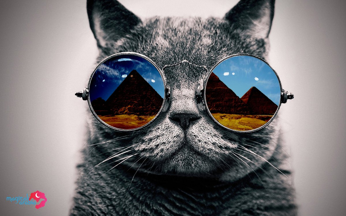 Алмазная мозайка на подрамнике 40х50 животные космический кот