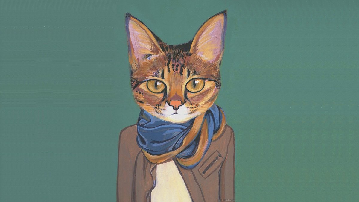 Кот в очках черно белый