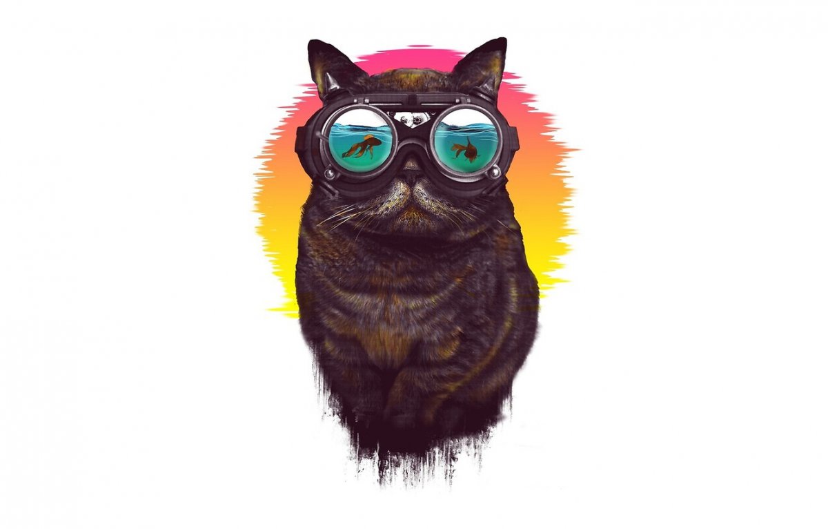 Фото на аву кот в очках