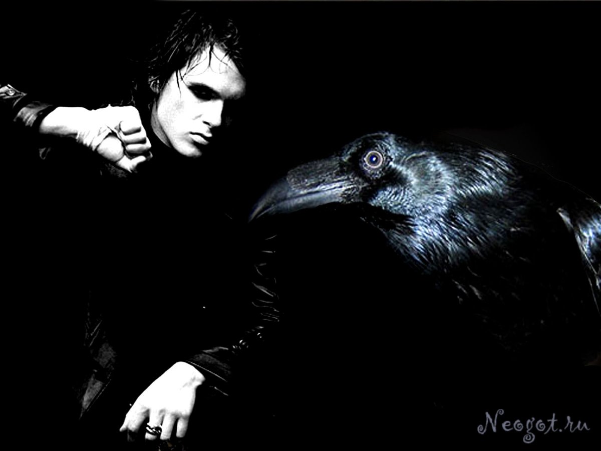 Парень с вороном