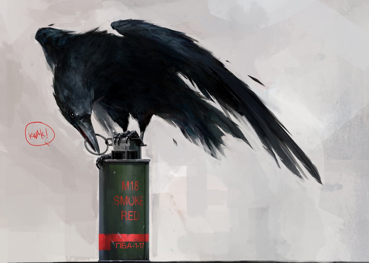Ворона с гранатой