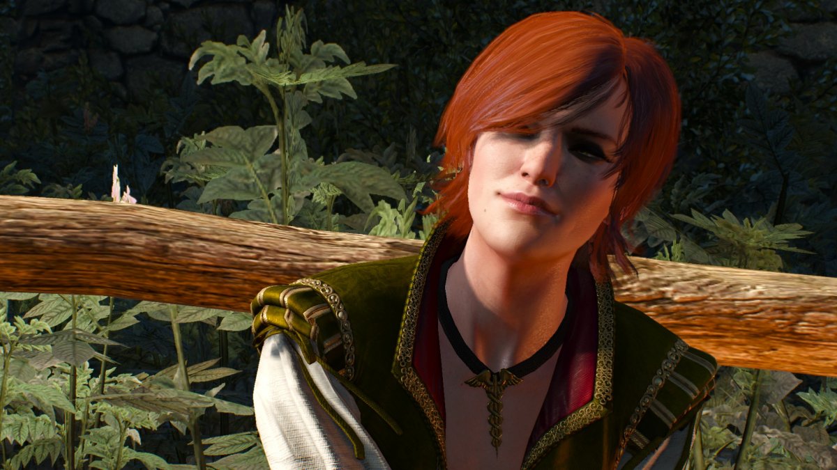 Ведьмак 3 Дикая охота Шани