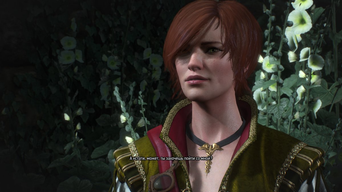 Шани Ведьмак 1