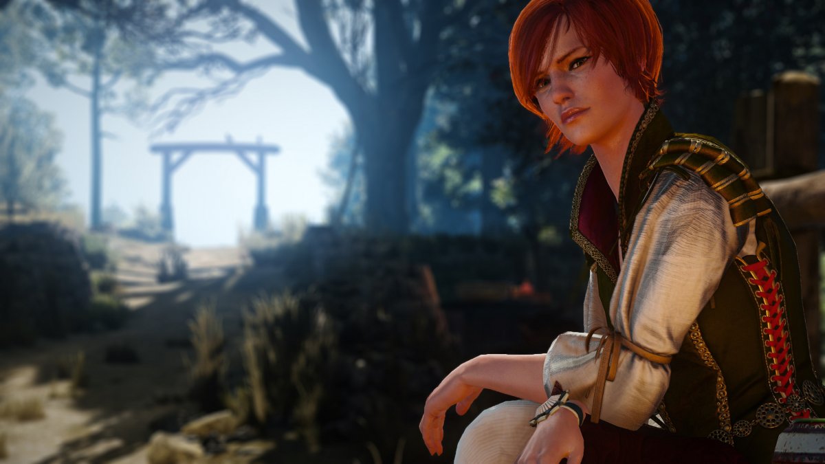 Шани Ведьмак 3 арт