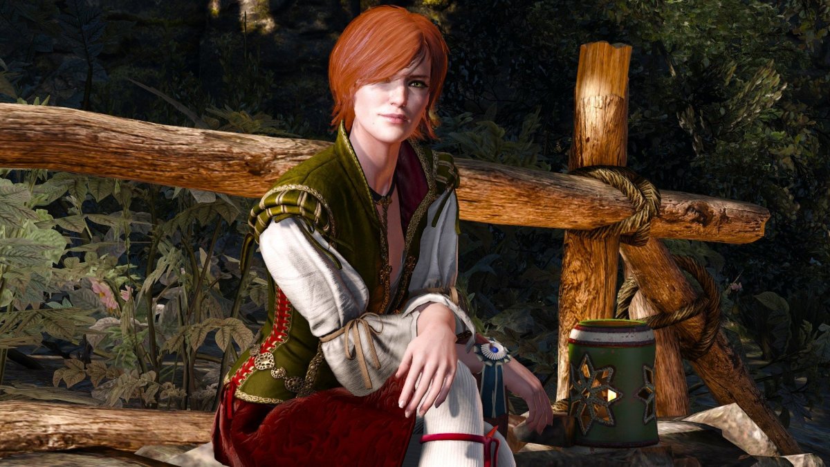 The Witcher 1 Шани