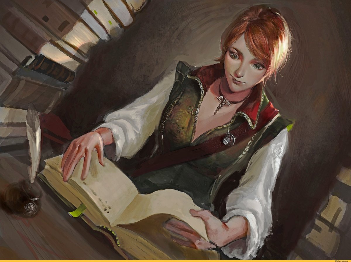 Ведьмак 1 Шани арт