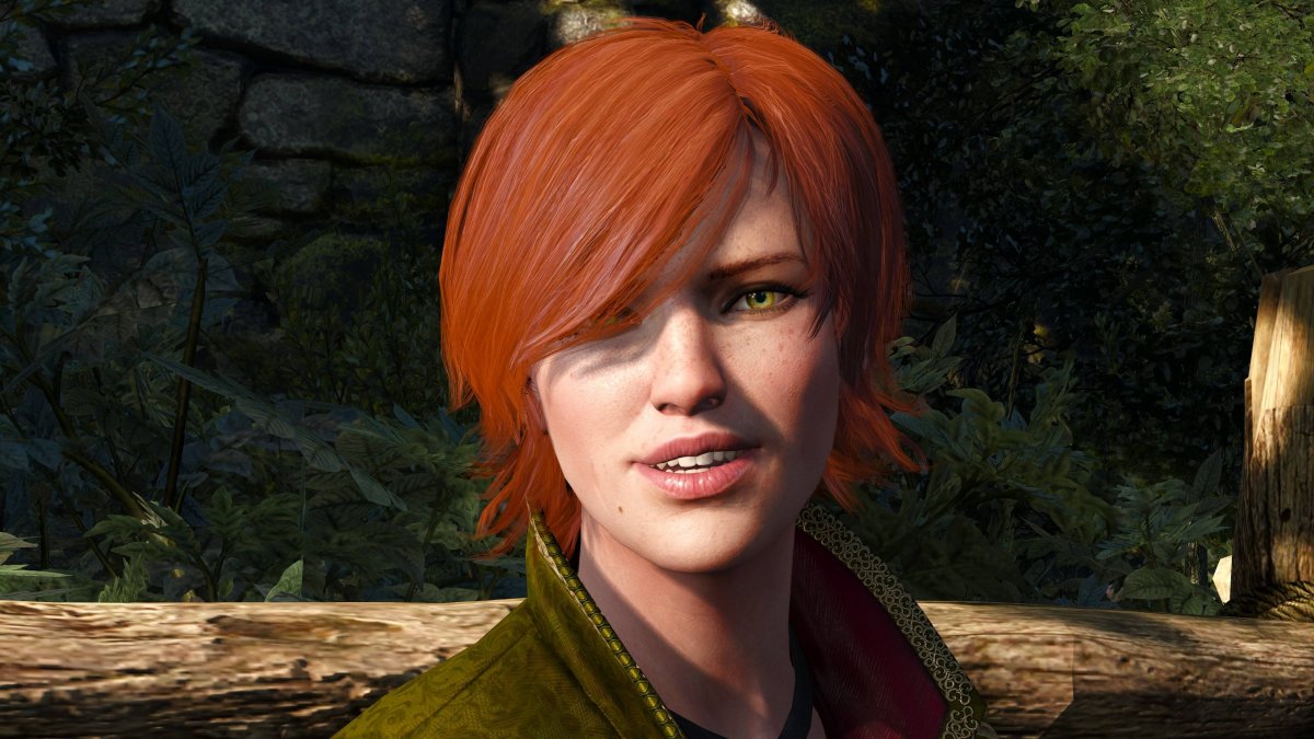 The Witcher 1 Шани