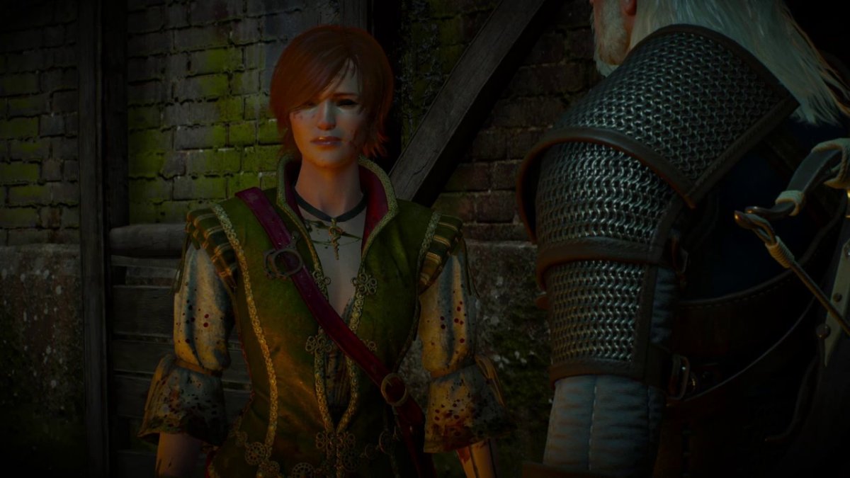 Шани Ведьмак 3 принц лягушка