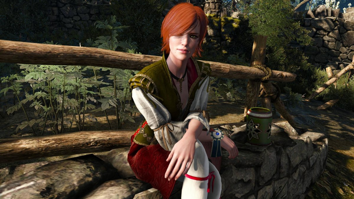 Ведьмак 4 Шани Роман