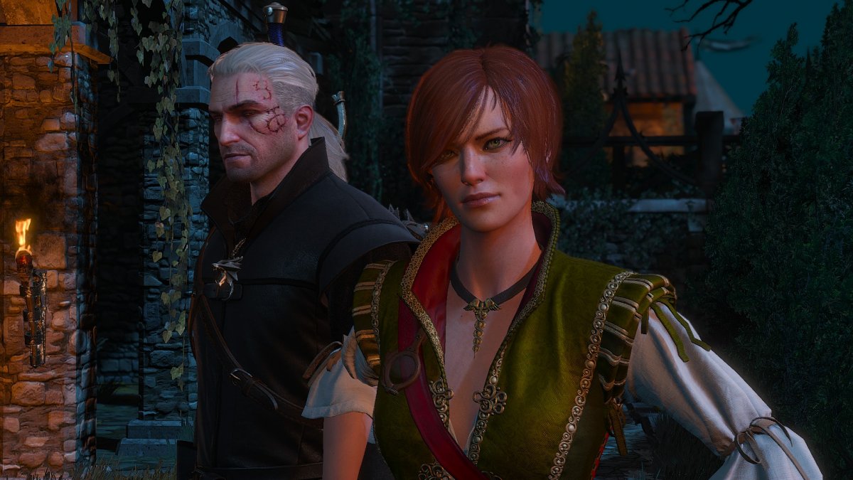 The Witcher 3 Wild Hunt Шани