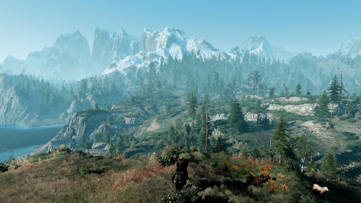 Скеллиге Ведьмак 3