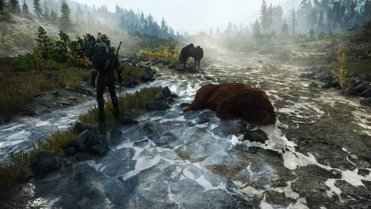 Ведьмак 3 АРД Скеллиге