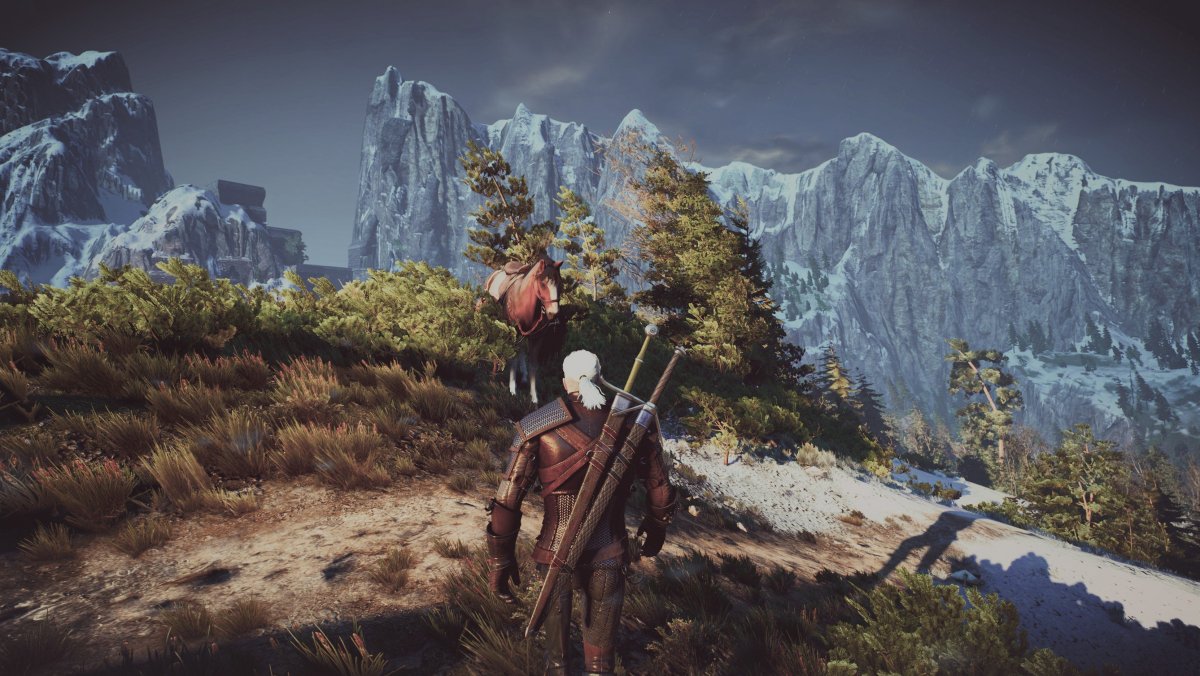 Скеллиге Ведьмак 3