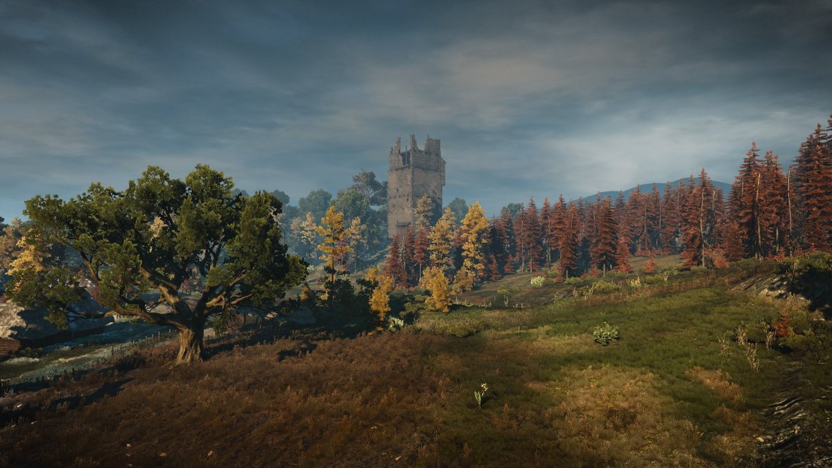 Локац ведьмаке 3 локации