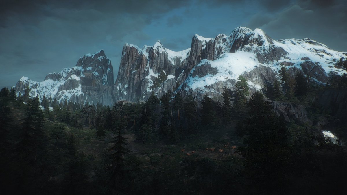 Witcher 3 Скеллиге лес