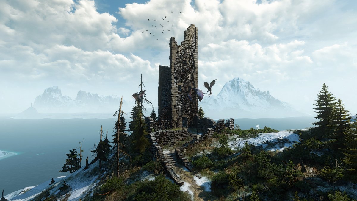 Ведьмак Скеллиге пейзаж