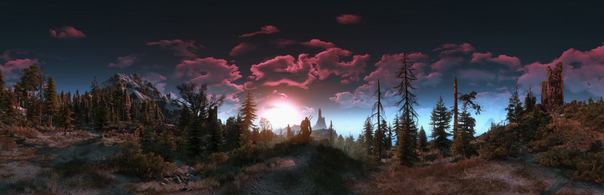 АРД Скеллиге ночь лес