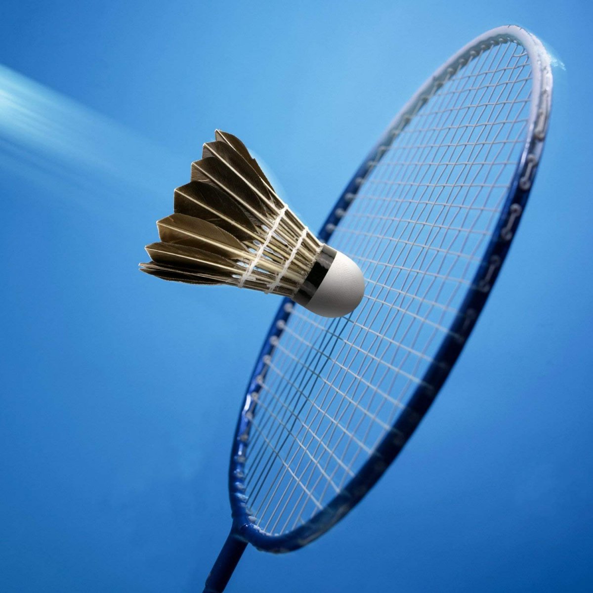 Площадка для бадминтона