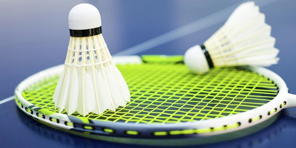 Бадминтон игра