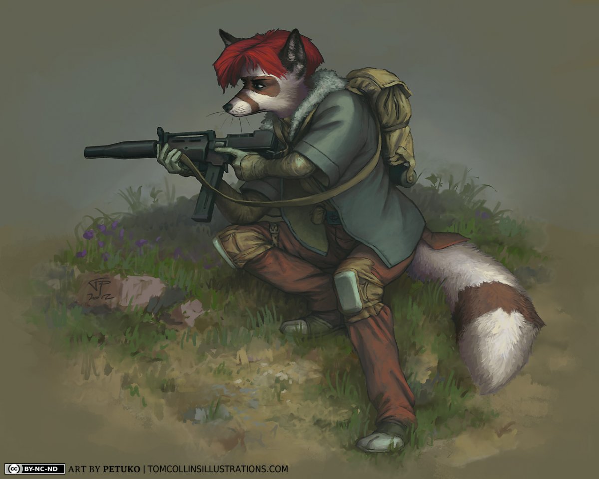 Фурри милитари