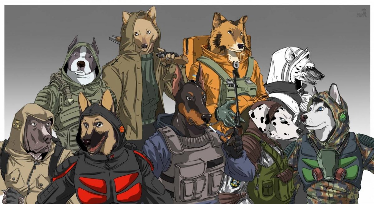 Сталкер Лис Lis