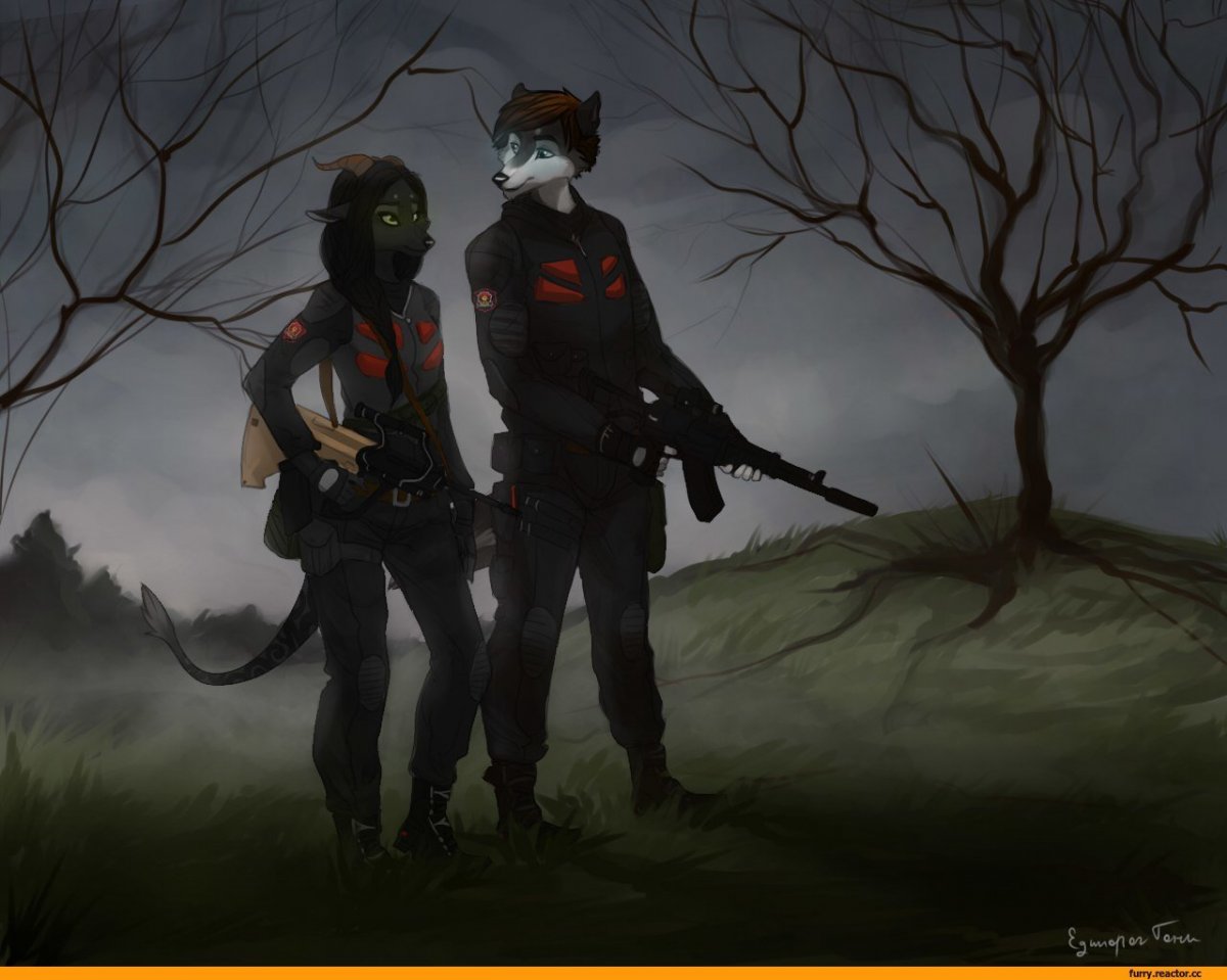 Furry ограбление