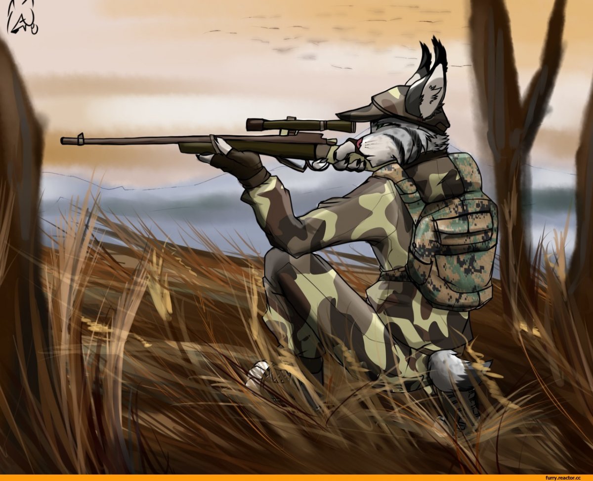 Сталкер долг аниме