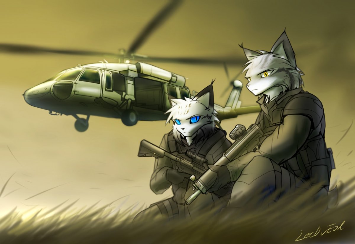 Волк спецназовец