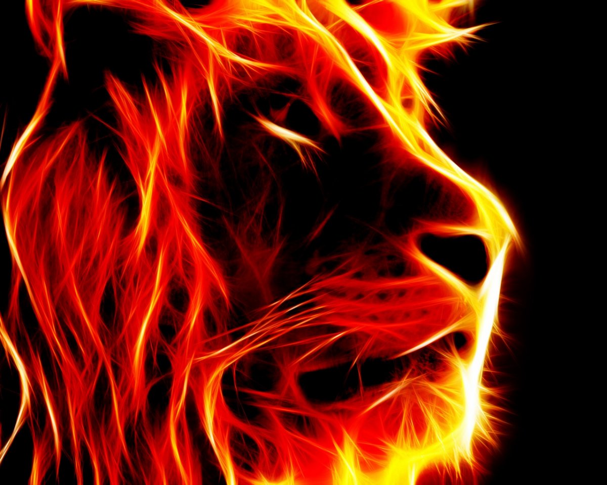Лев в огне