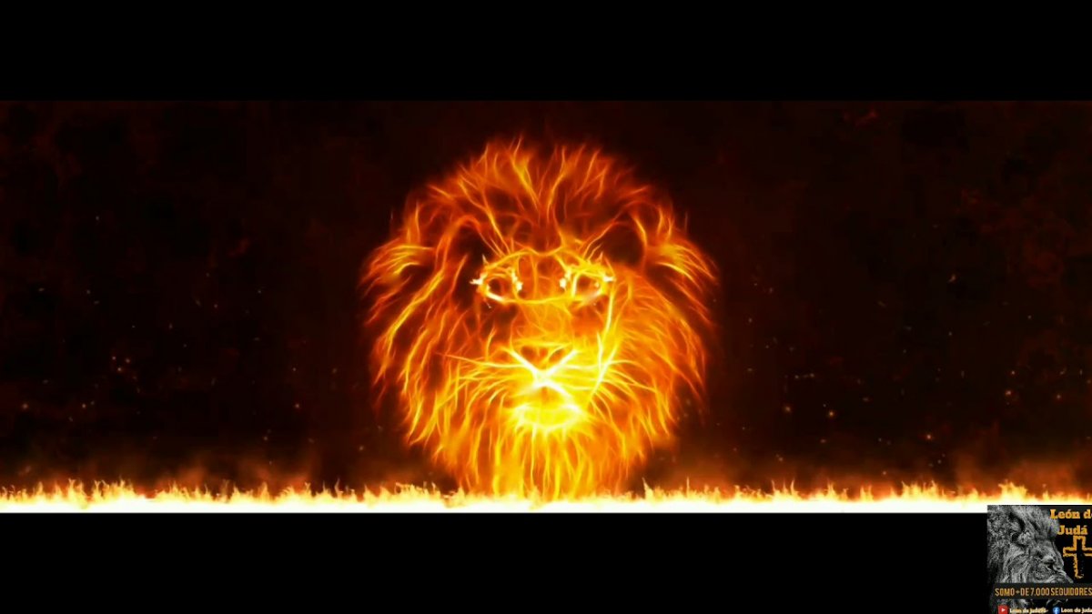 Огненный Лев на черном фоне