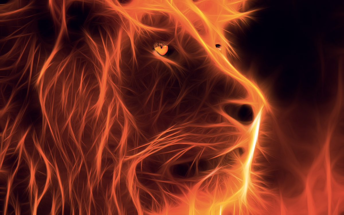 Фото огненного Льва