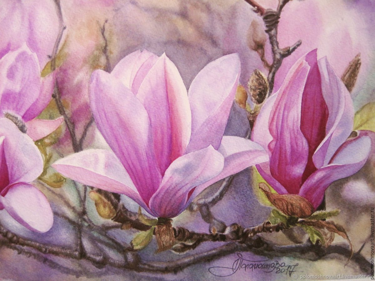 Магнолия арт