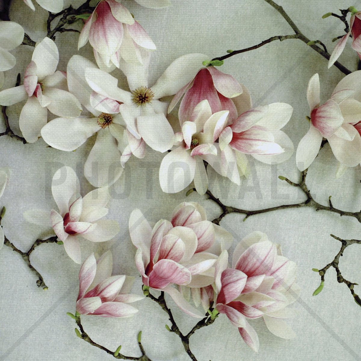 Светлана Сенчурова