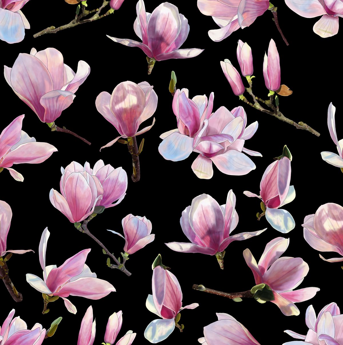 Магнолия Суланжа вектор