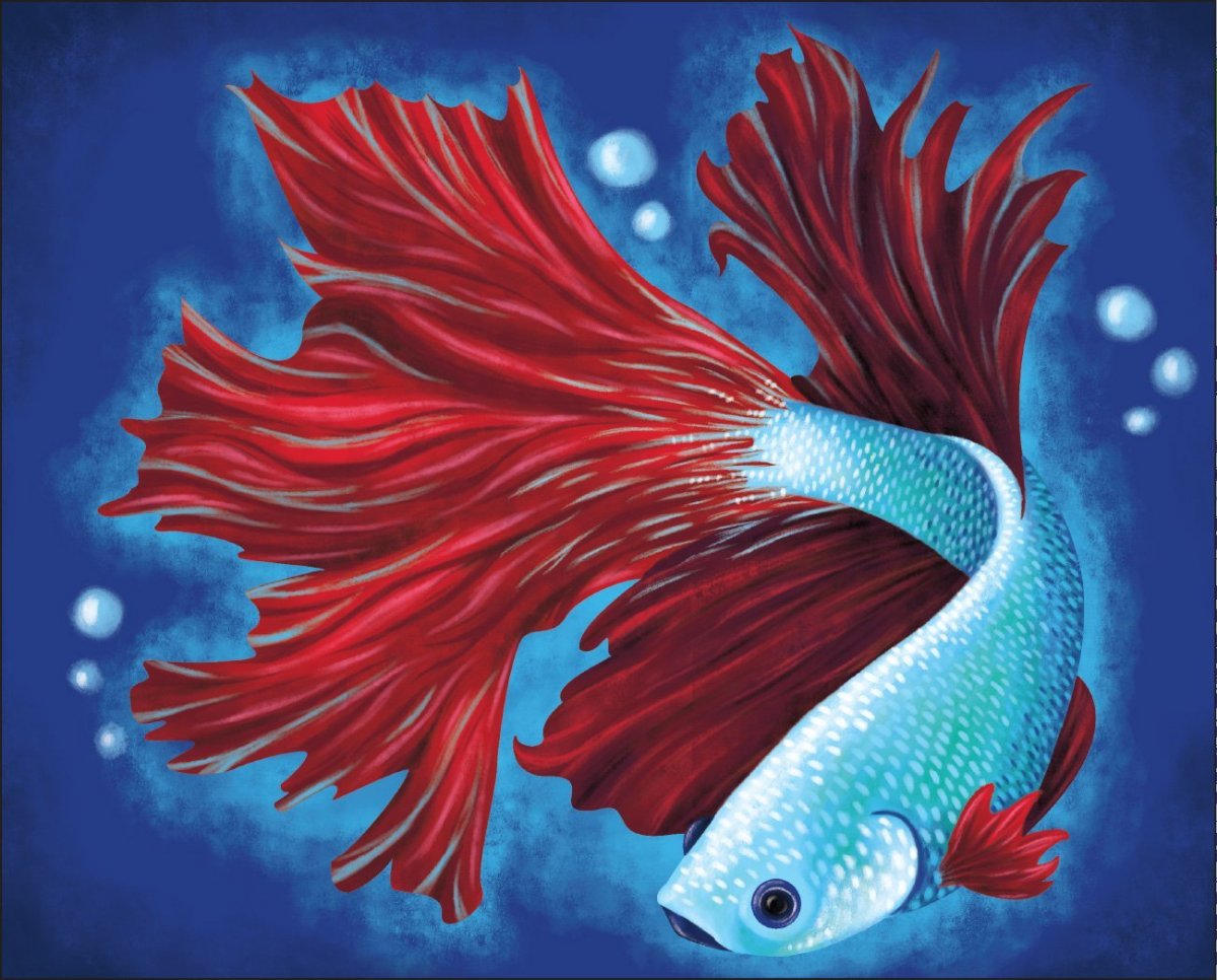 Рыбка петушок арт