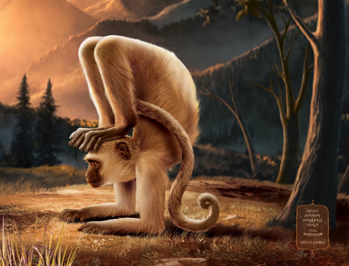 Обезьяна фэнтези