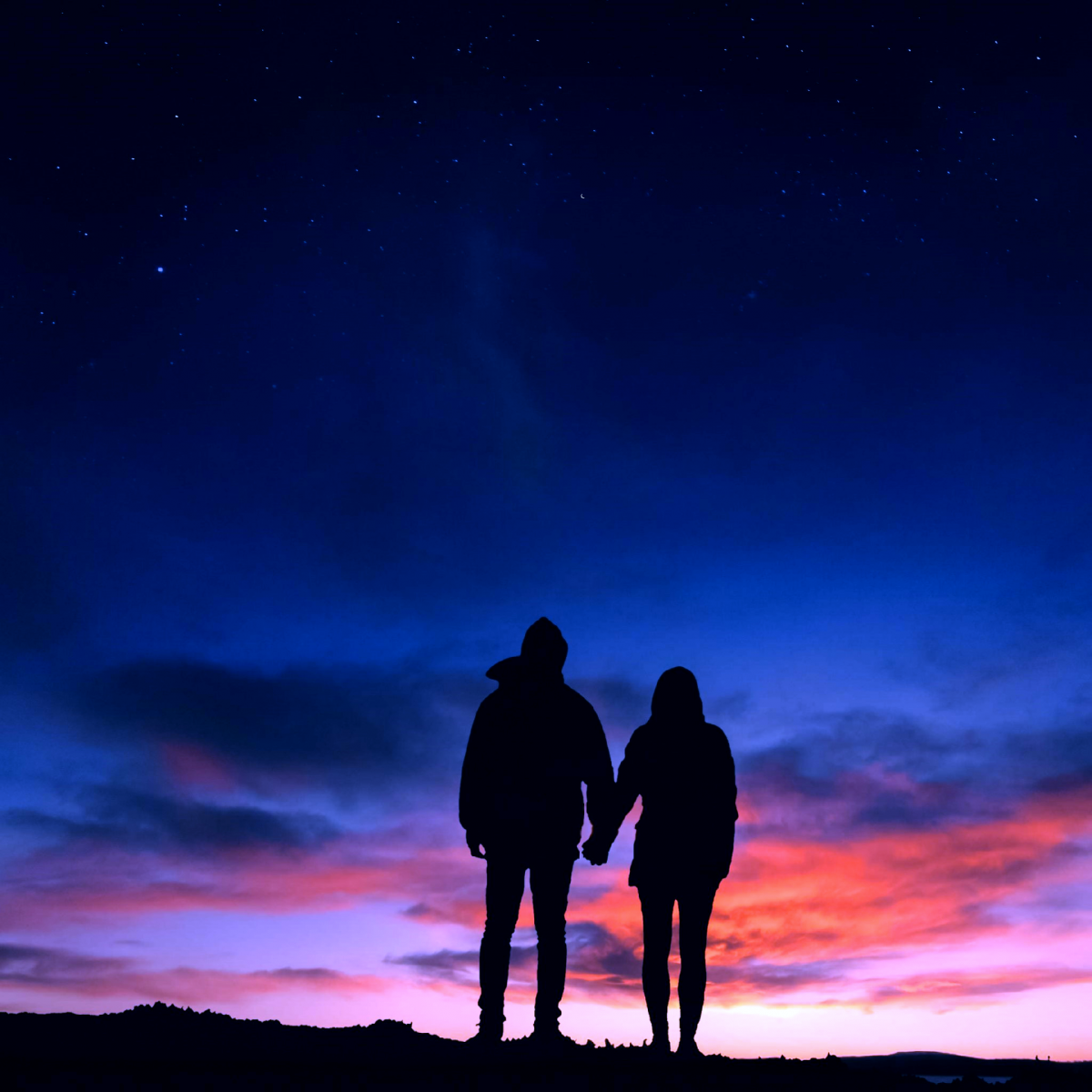 Пара в небе