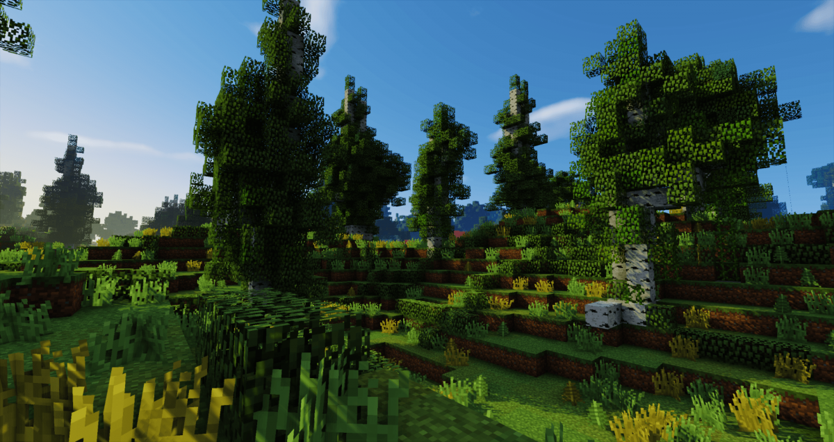 Майнкрафт лес с шейдерами