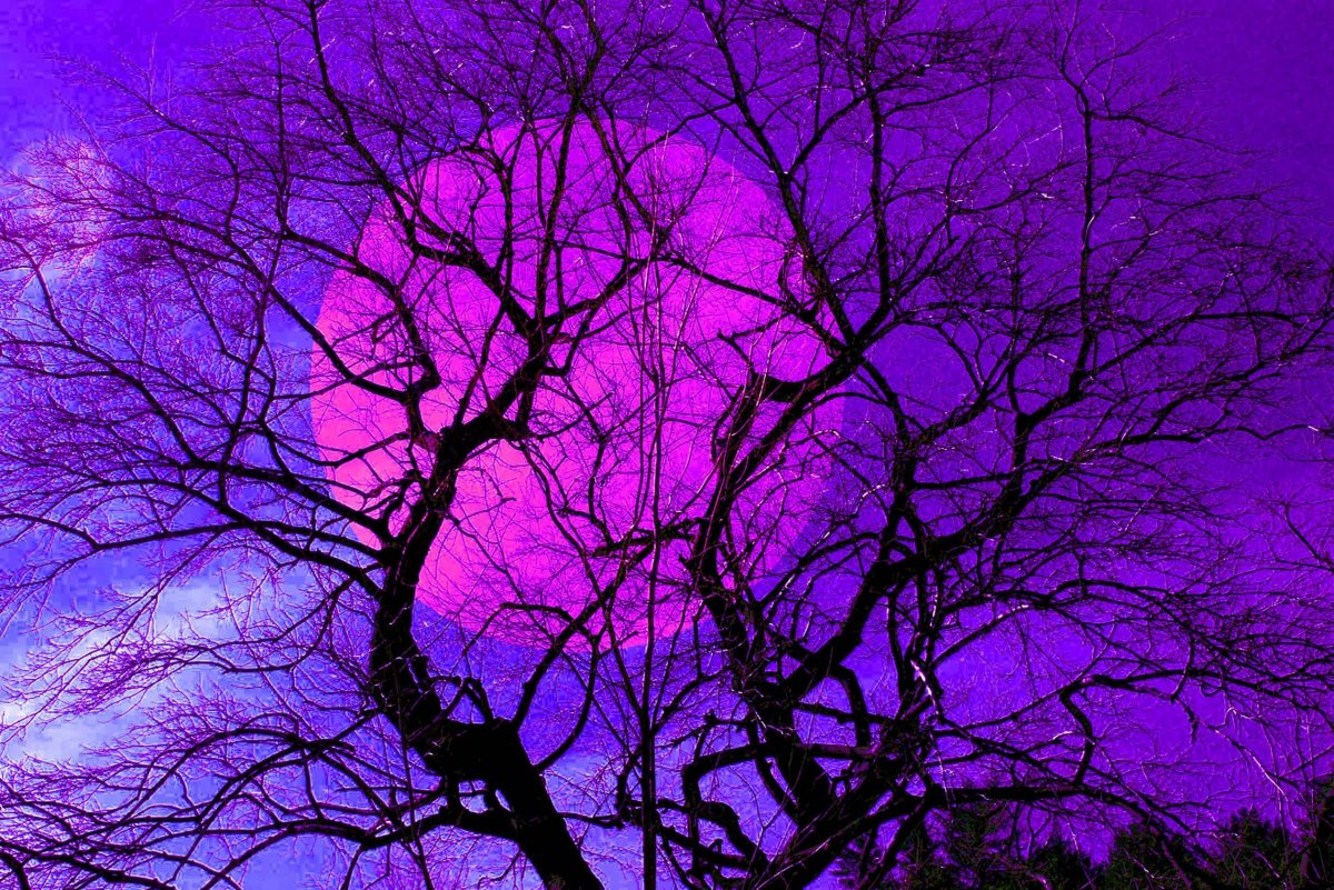 Сиреневые обои