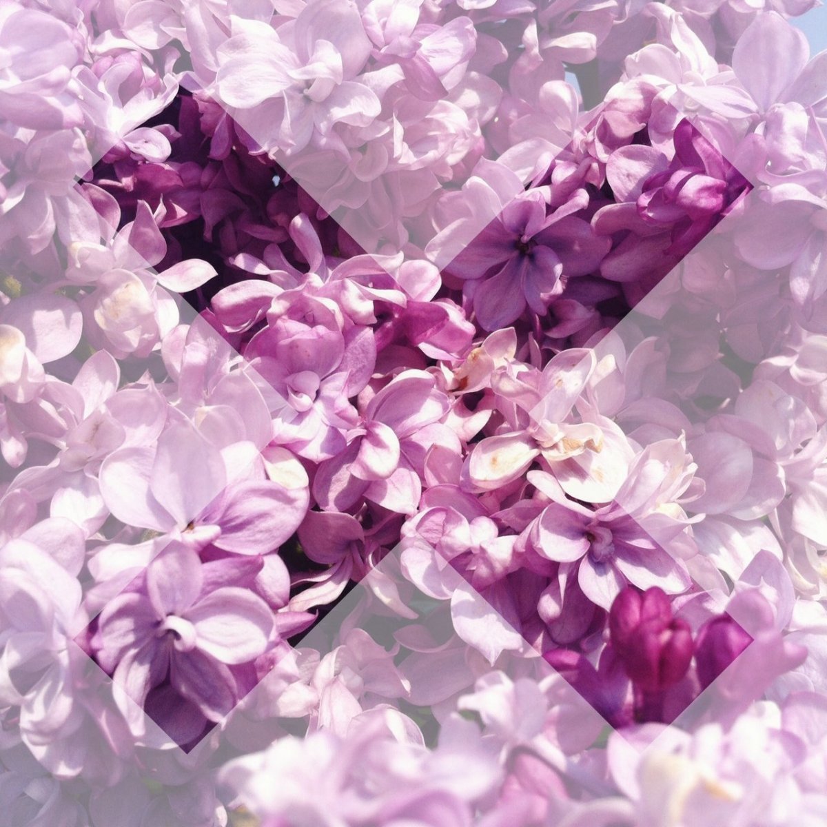 Эстетика в сиреневых тонах