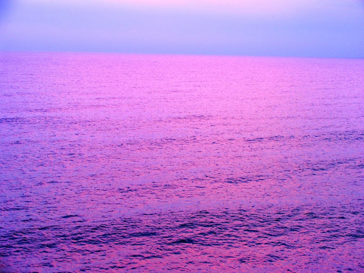 Сиреневый клен