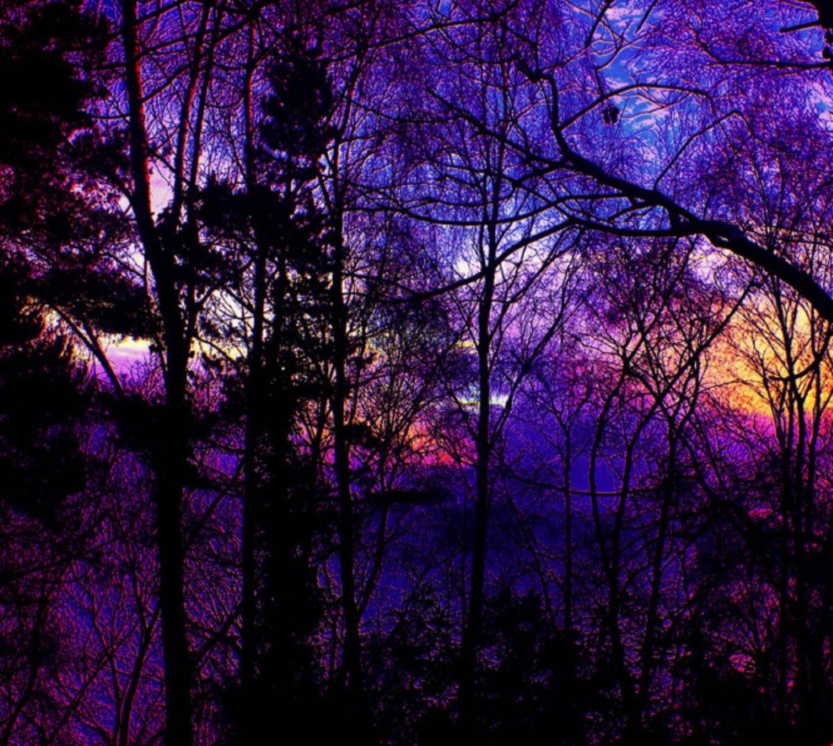 Неоновый фиолетовый